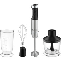 Блендер погружной Rondell RDE-1306 черный/серебристый