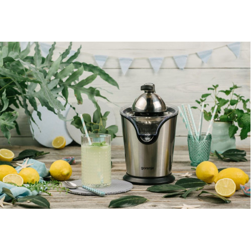 Соковыжималка GORENJE CJ100HE
