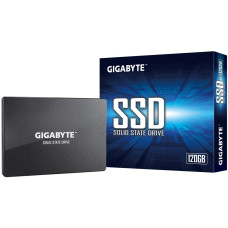 Жесткий диск GIGABYTE GP-GSTFS31100TNTD 1TB 