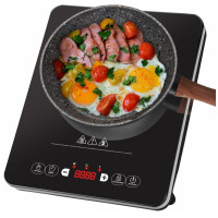 Плитка электрическая индукционного типа Endever Skyline IP-53 черный