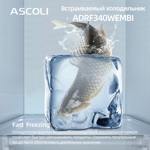 Встраиваемый холодильник Ascoli ADRF340WEMBI