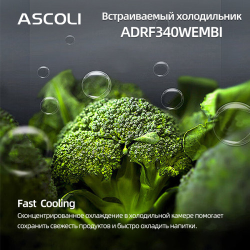 Встраиваемый холодильник Ascoli ADRF340WEMBI