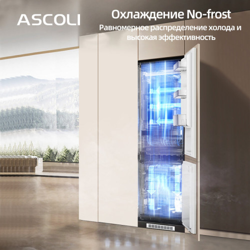 Встраиваемый холодильник Ascoli ADRF270WEMBI
