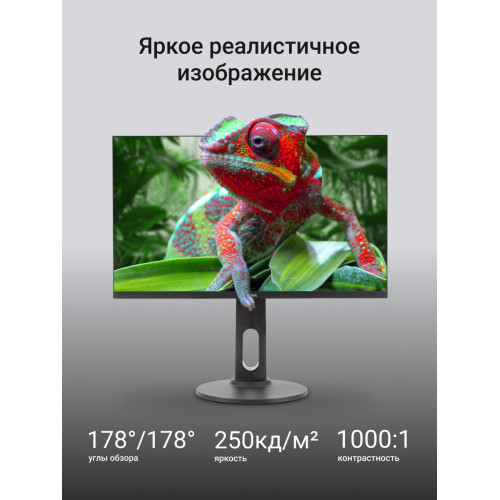 Монитор Digma Progress 24P505F (DM24SB05) 23.8