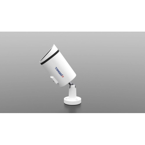 Видеокамера IP Trassir TR-D2151IR3 3.6-3.6мм цветная