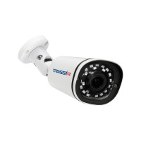 Видеокамера IP Trassir TR-D2121IR3 2.8-2.8мм цветная