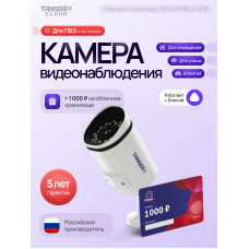 Видеокамера IP Trassir TR-D2151IR3 2.8-2.8мм цветная