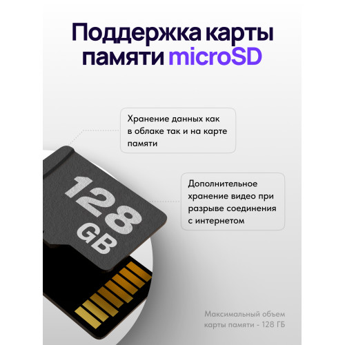 Видеокамера IP Trassir TR-D2151IR3 2.8-2.8мм цветная