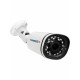 Видеокамера IP Trassir TR-D2121IR3W 3.6-3.6мм цветная