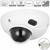 Уличная мини-купольная IP-видеокамера Dahua DH-IPC-HDBW3241FP-AS-0360B-S2