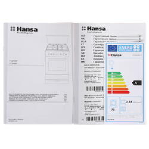 Плита Hansa FCMX64023