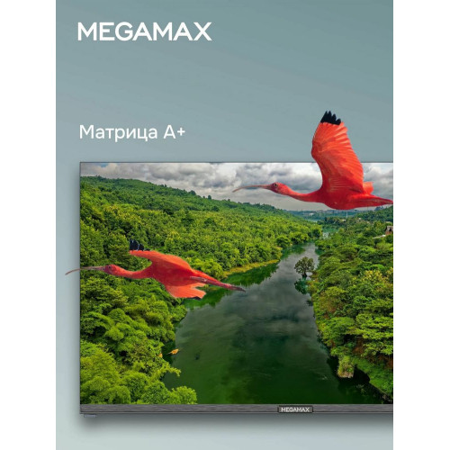 Телевизор MEGAMAX 32MG11H черный