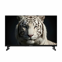 Телевизор TopDevice TDWC24BH5260V черный