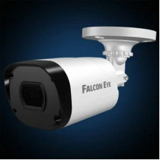 Камера Falcon Eye FE-MHD-B2-25