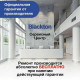 Блендер погружной Blackton Bt HB420PS White-Gray