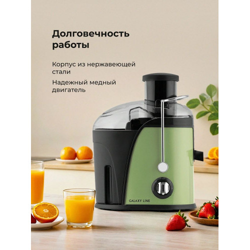 Соковыжималка GALAXY LINE GL 0815 зеленый