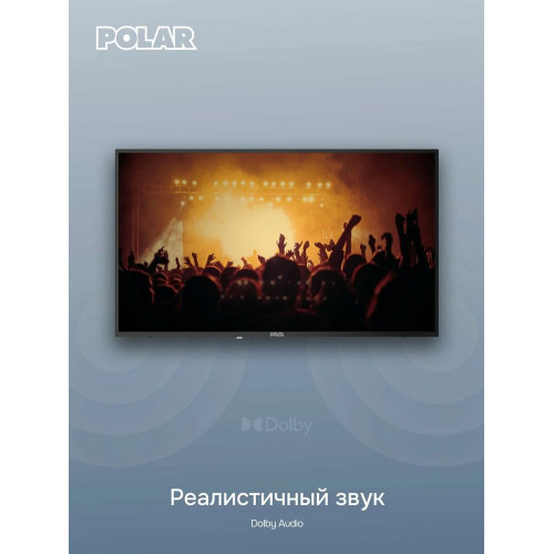 Телевизор POLAR P43L21T2SC (R)