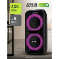 Колонка Eltronic 20-14 DANCE BOX 300 черный