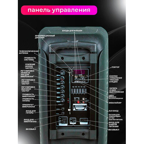 Колонка Eltronic 20-14 DANCE BOX 300 черный
