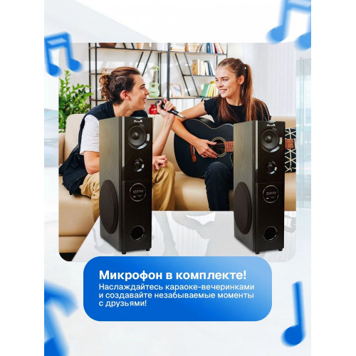 Колонка ELTRONIC 20-82 HOME SOUND черный