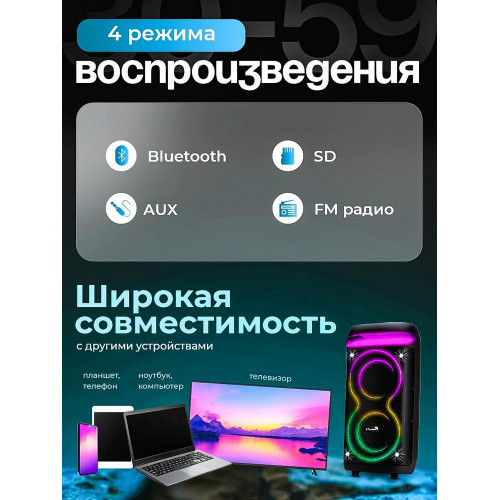 Колонка Eltronic 30-29 DANCE BOX 1000 NEW черный