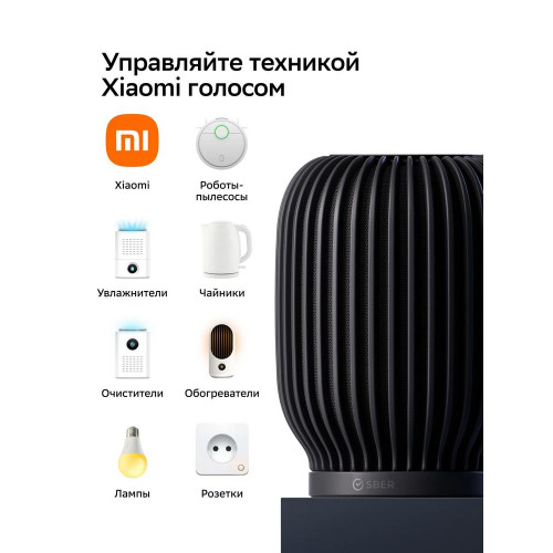 Умная колонка Sber SberBoom, 40Вт, стандартная, 1 динамик, Мультирум, Стереопара, Wi-Fi, Bluetooth 5.0, Салют, черный
