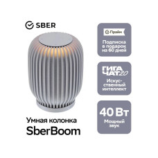Умная колонка Sber SberBoom, 40Вт, стандартная, 1 динамик, Мультирум, Стереопара, Wi-Fi, Bluetooth 5.0, Салют, темно-серый