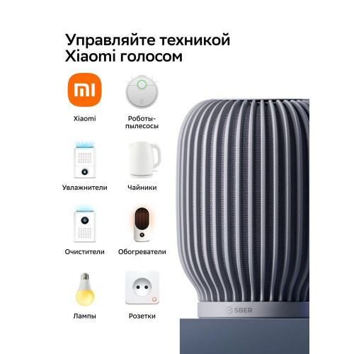 Умная колонка Sber SberBoom, 40Вт, стандартная, 1 динамик, Мультирум, Стереопара, Wi-Fi, Bluetooth 5.0, Салют, темно-серый