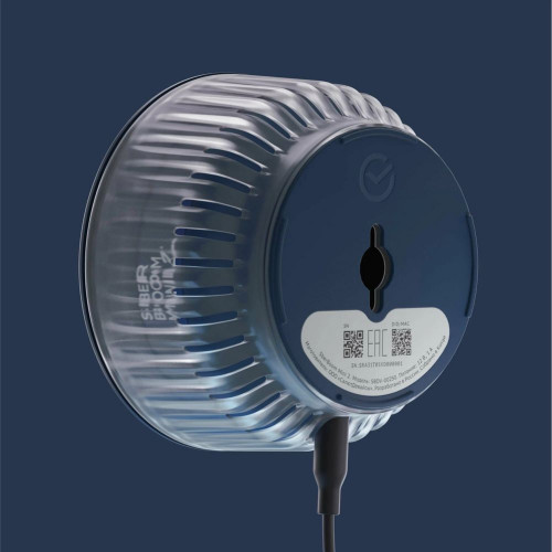 Умная колонка SBER Boom Mini 2, 5Вт, компактная, 1 динамик, GigaChat, Magnetic Sound, Мультирум, Детектор шума, Wi-Fi, Bluetooth 5.0, Салют, синий