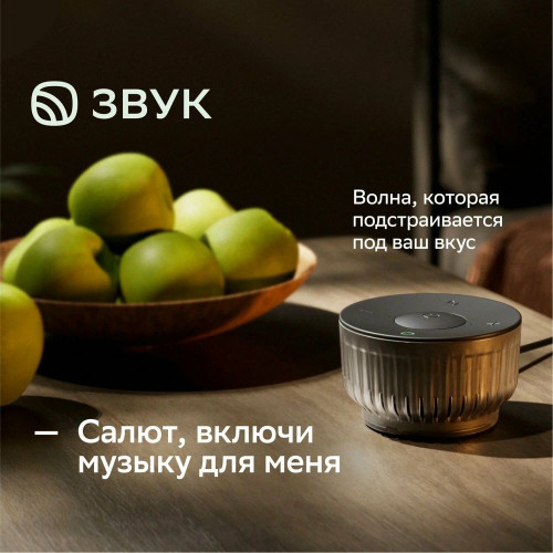Умная колонка SBER Boom Mini 2, 5Вт, компактная, 1 динамик, GigaChat, Magnetic Sound, Мультирум, Детектор шума, Wi-Fi, Bluetooth 5.0, Салют, квантовый черный