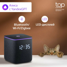 Умная колонка Яндекс Станция Миди, 24Вт, с экраном, 2 динамика, Wi-Fi, BT5.0, Zigbee, Алиса, черный