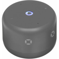 Умная колонка Яндекс Станция Лайт 2 LED, 6Вт, с экраном, 1 динамик, часы, Алиса, BT5.0, Wi-Fi, серый