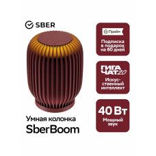 Умная колонка Sber SberBoom, 40Вт, стандартная, 1 динамик, Мультирум, Стереопара, Wi-Fi, Bluetooth 5.0, Салют, терракотовый