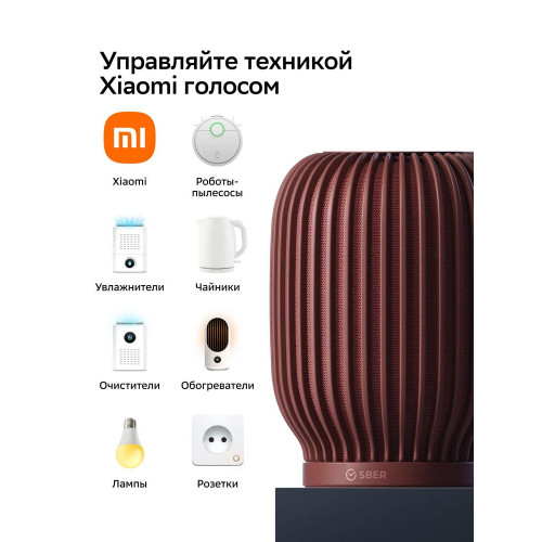 Умная колонка Sber SberBoom, 40Вт, стандартная, 1 динамик, Мультирум, Стереопара, Wi-Fi, Bluetooth 5.0, Салют, терракотовый