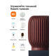 Умная колонка Sber SberBoom, 40Вт, стандартная, 1 динамик, Мультирум, Стереопара, Wi-Fi, Bluetooth 5.0, Салют, терракотовый