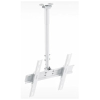 Кронштейн HOLDER PR-101-W белый