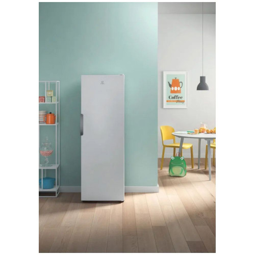 Морозильная камера Indesit DFZ 5175