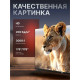 Телевизор LEFF 32H680T Smart Салют