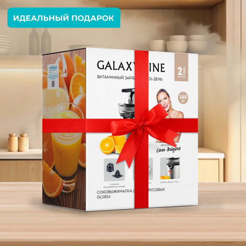 Соковыжималка GALAXY GL 0854